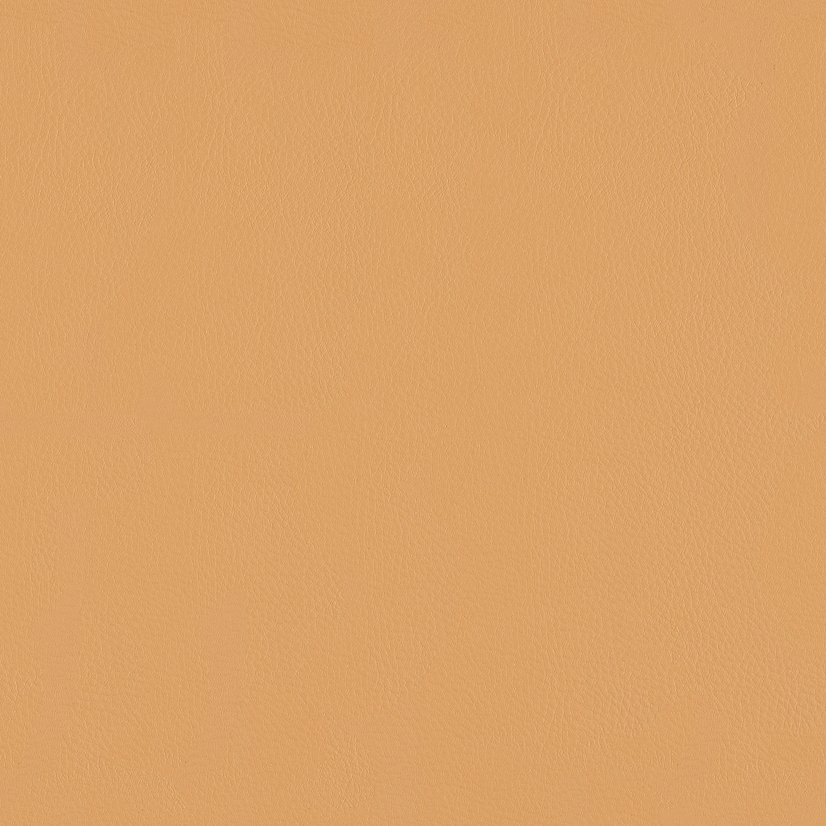 Top Coat - Toast - 4083 - 10 Tileable Swatches