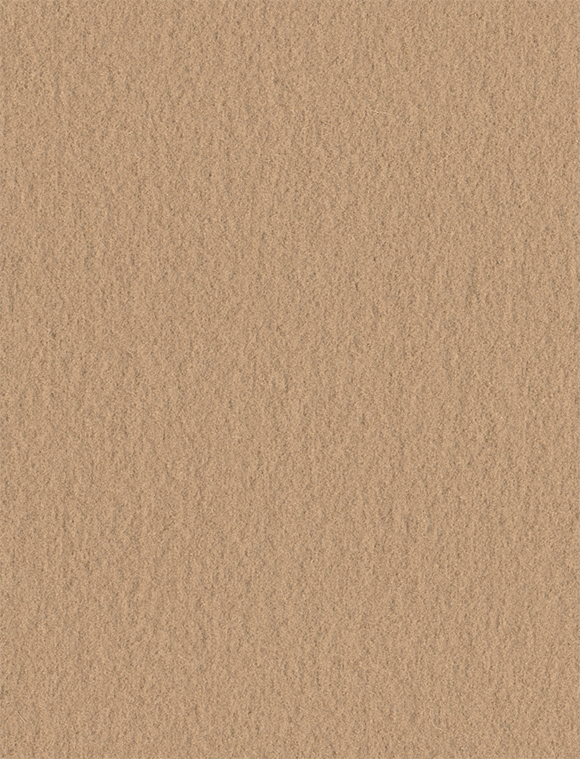 Full Wool - Seashell - 4008 - 20 Tileable Swatches